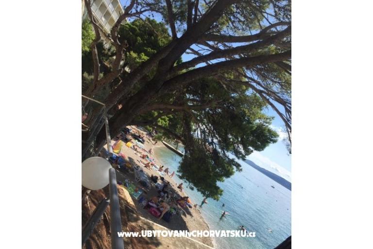 Apartmanok Iko – fotó 18