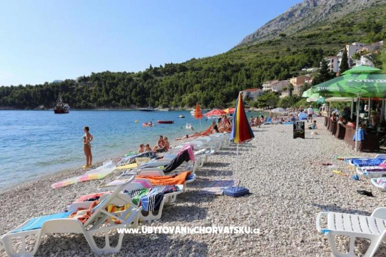 APARTMANI JELENA – fotó 7