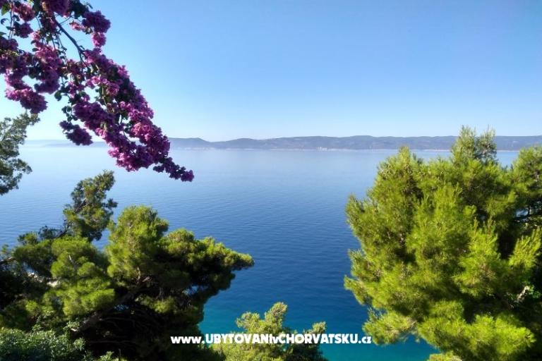 Apartmanok Katica – fotó 12