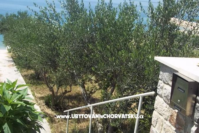Apartmanok Kalajžić – fotó 10