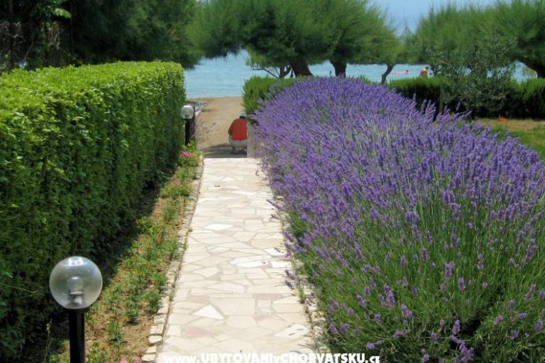 Apartmanok Lavanda – fotó 3