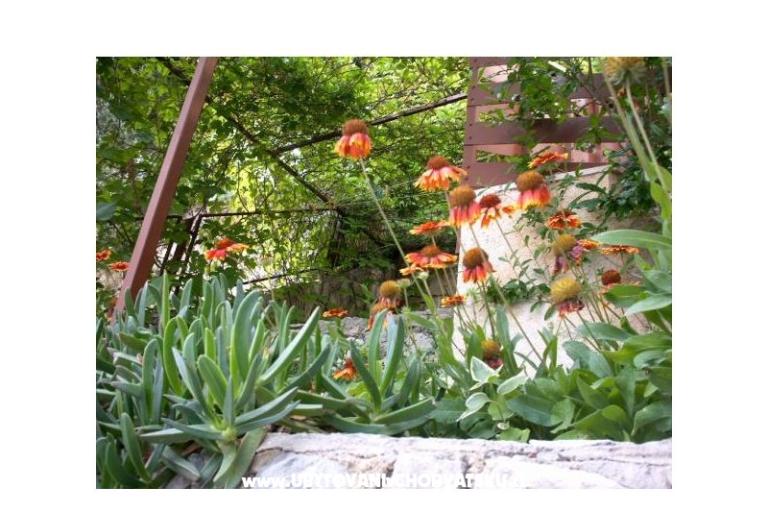 Apartmanok Mirjana – fotó 11