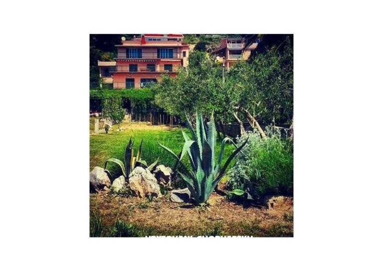 Apartmanok Miro, Duće – fotó 7