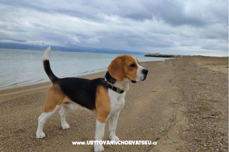 Apartmanok Tomasović Omiš – fotó 17