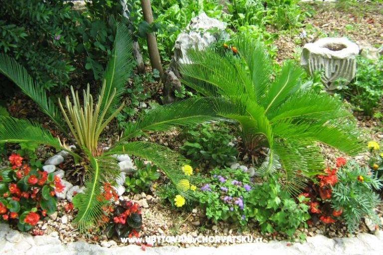 Apartmanok VERA – fotó 9