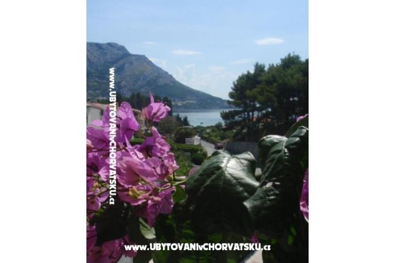 Apartmanok Vinka Saric – fotó 2