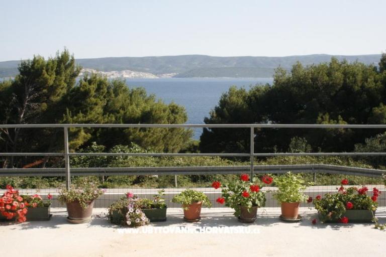 Apartmanok Višnja – fotó 2