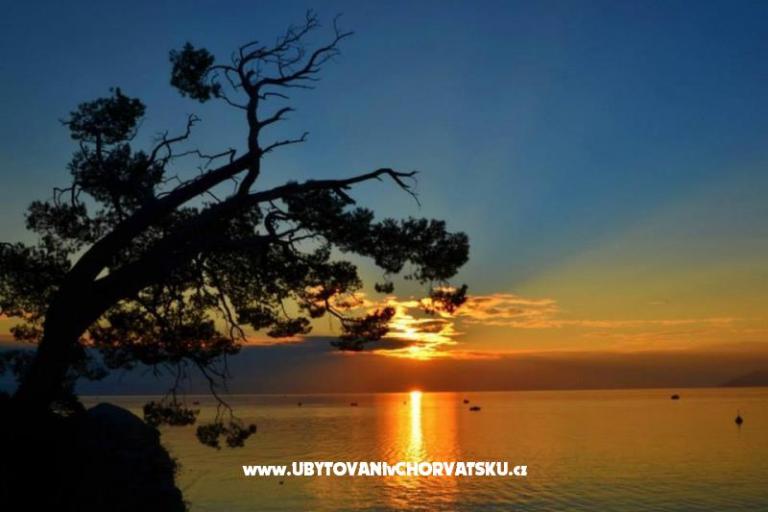 Apartmanmate omiš – fotó 17