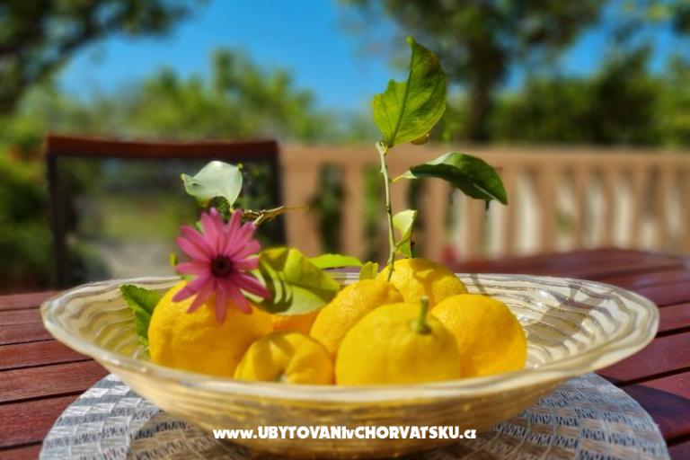 Apartmanok Diridonda – fotó 46