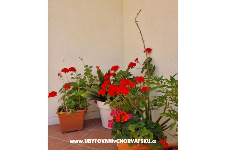 Apartmanok Diridonda – fotó 48