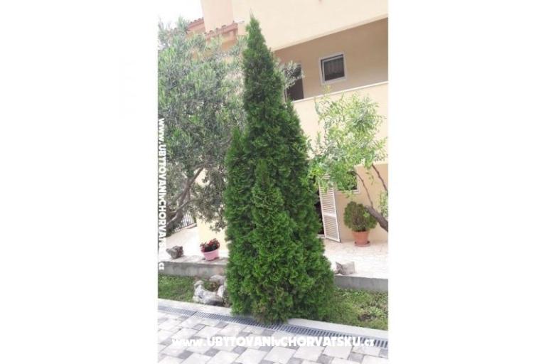 Apartmanok Toma – fotó 18