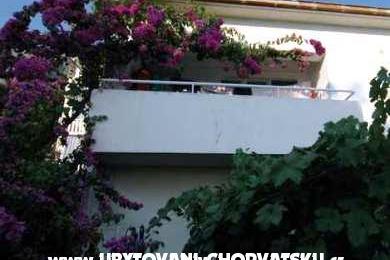  Calypso Diving Apartmanok – fotó 11