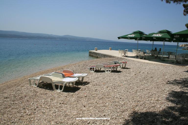 Ljetni san – fotó 5