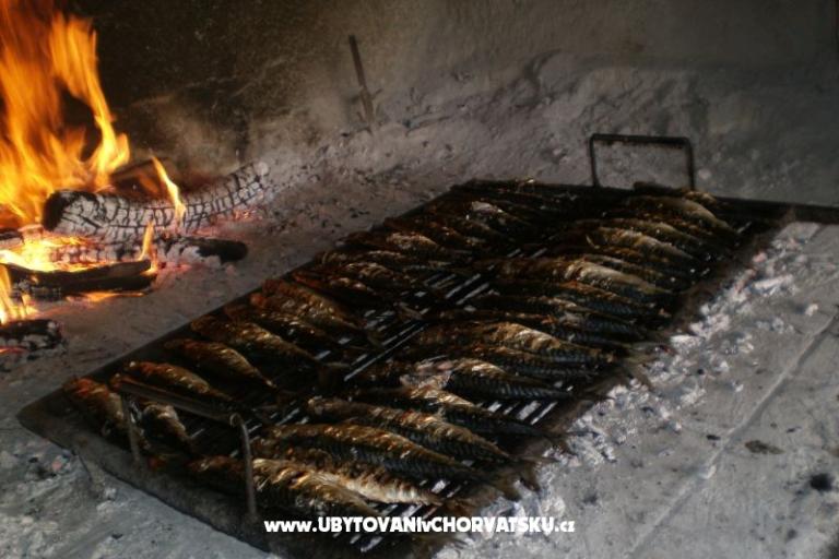 Pansion Šarić – fotó 12
