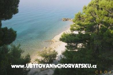 Pansion Šarić – fotó 4