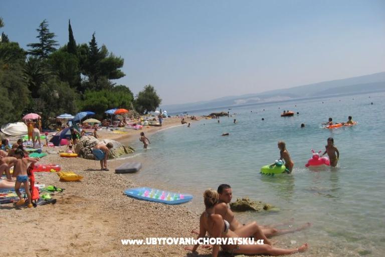 Vila ANI    – fotó 14