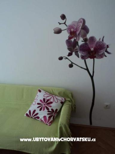 Vila Danica – fotó 2