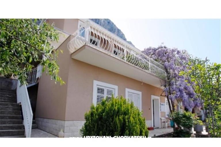 Villa Fig – fotó 16