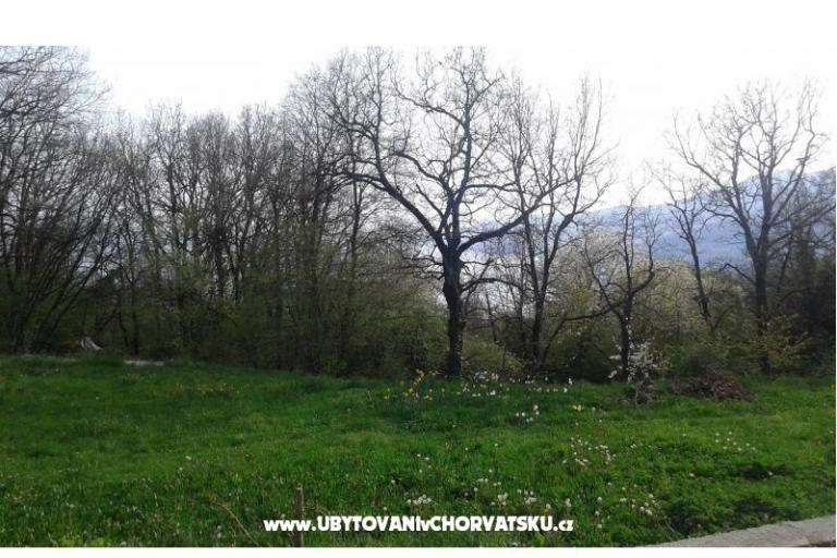Apartman AS ROYAL – fotó 4