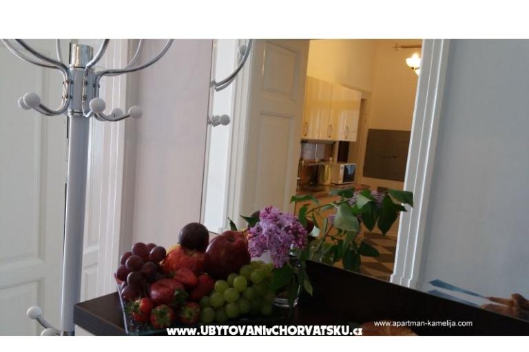 Apartman Kamelija – fotó 9