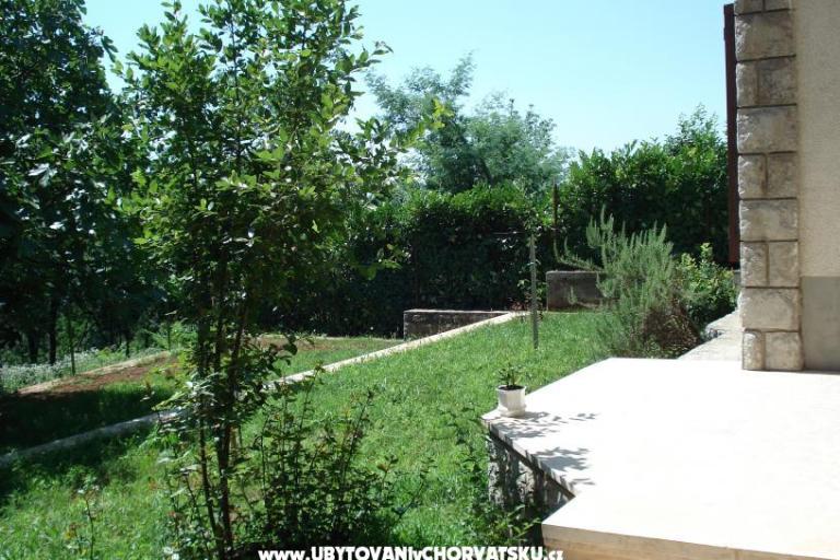 Apartmanok Mare – fotó 6