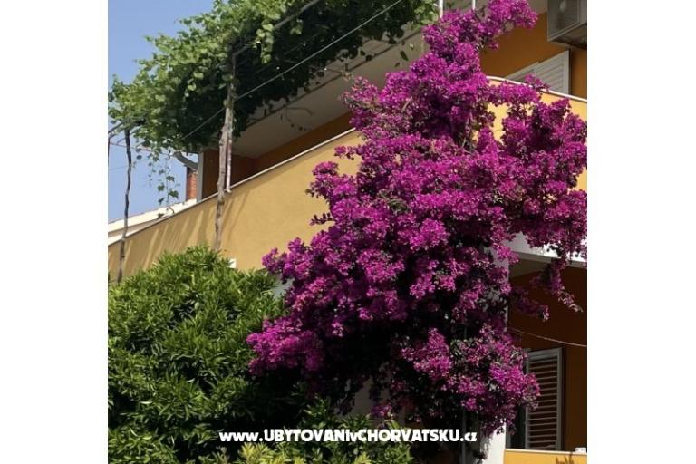 Apartmanok  Ante – fotó 10