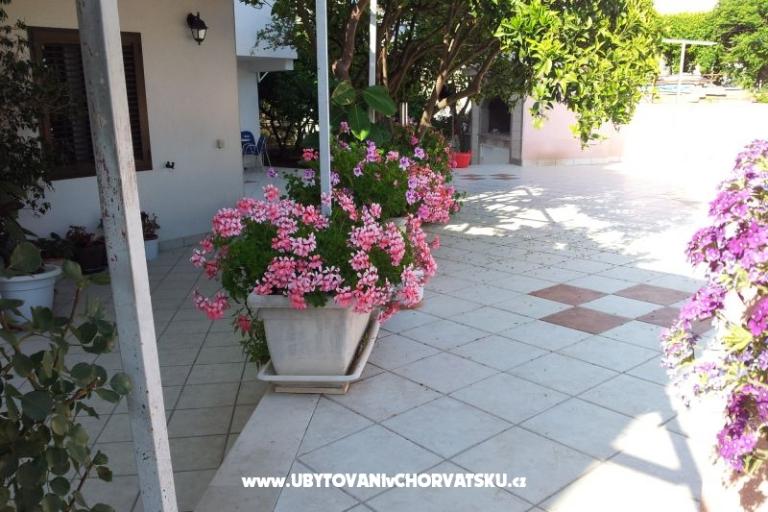 Apartmanok Bilic – fotó 12