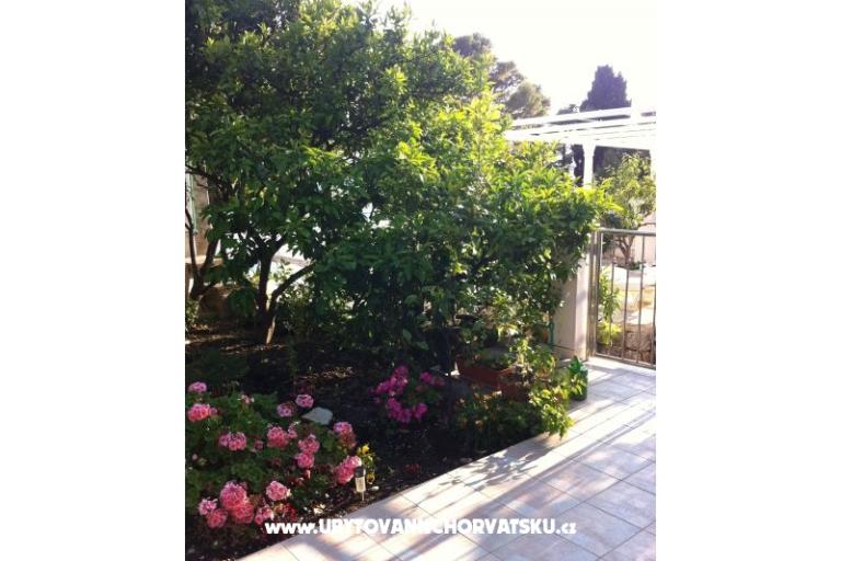 Apartmanok surf in Viganj – fotó 15