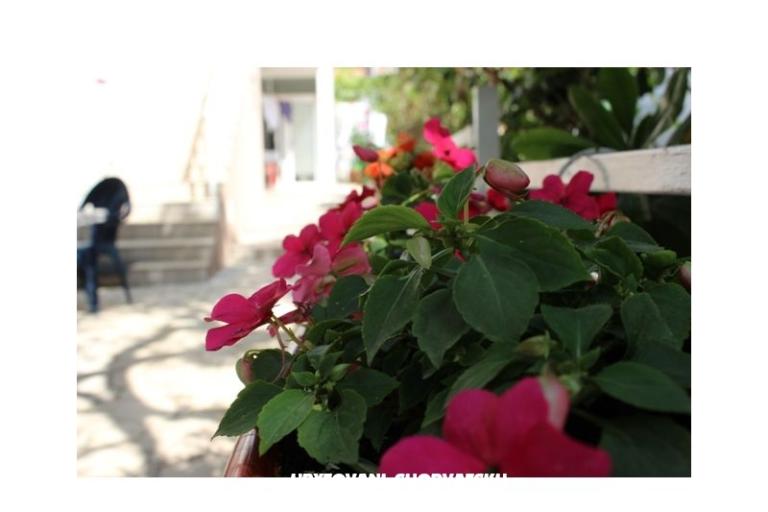 Apartmanok Tanja – fotó 3