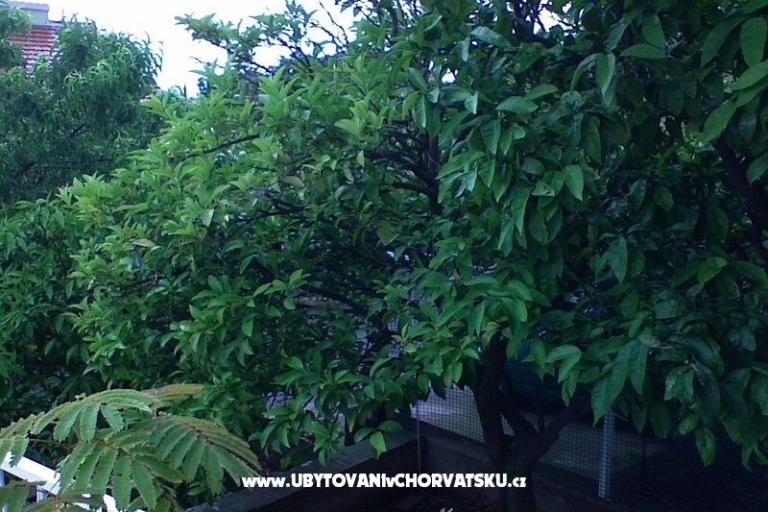 Apartmanok Zorka – fotó 13
