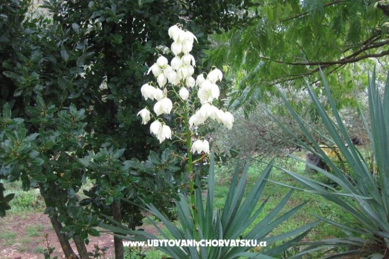 Apartmanok Mratović – fotó 17