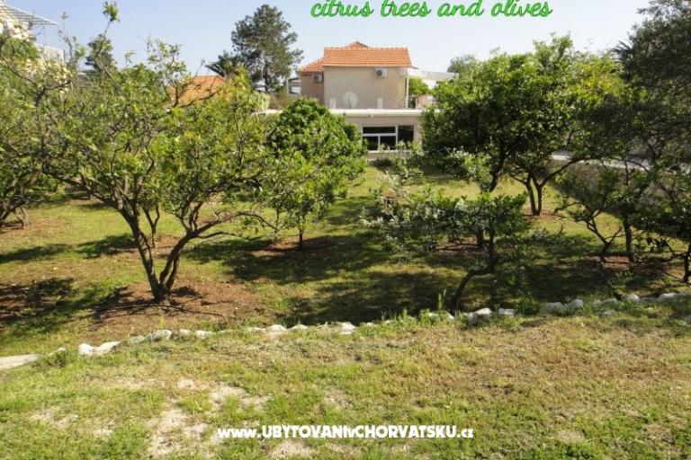 Apartmanok Pretner – fotó 14