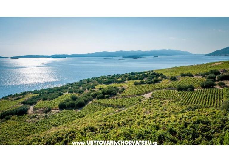 Apartmanok Sveti Anton Orebic – fotó 12