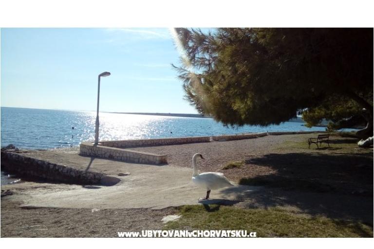 Apartman s pogledom na more – fotó 3