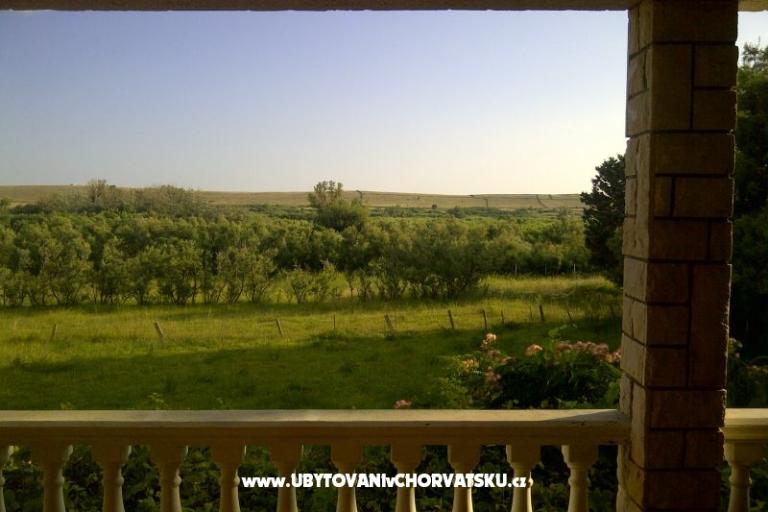 Apartmanok Ćurić Povljana – fotó 3