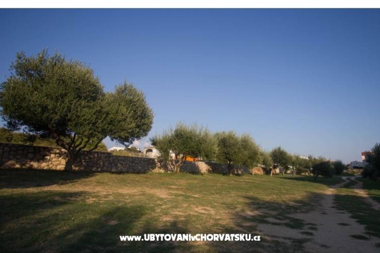 Apartmanok Dobre – fotó 13