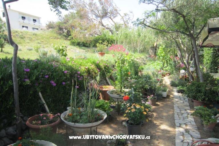 Apartmanok Mediteran Pag – fotó 10