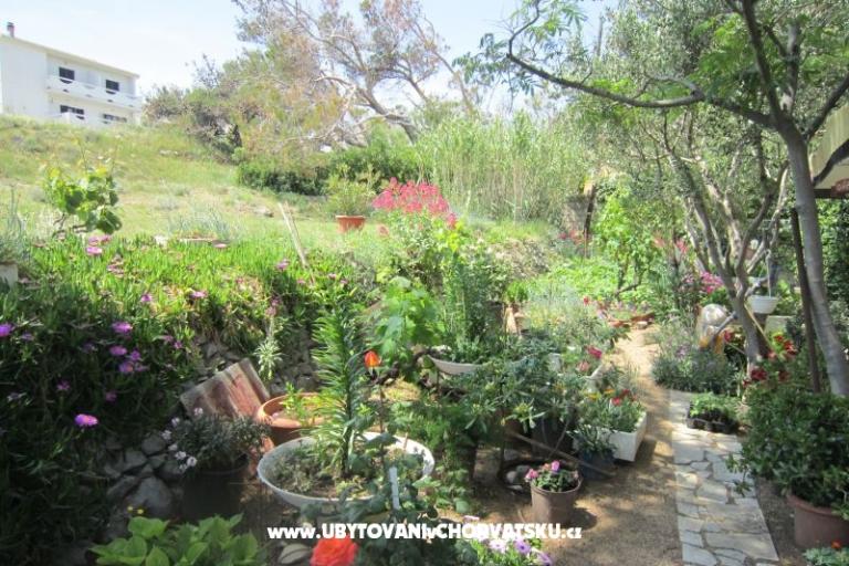 Apartmanok Mediteran Pag – fotó 11