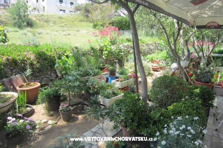 Apartmanok Mediteran Pag – fotó 8