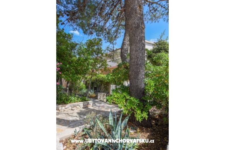 Apartmanok Oleandra – fotó 12