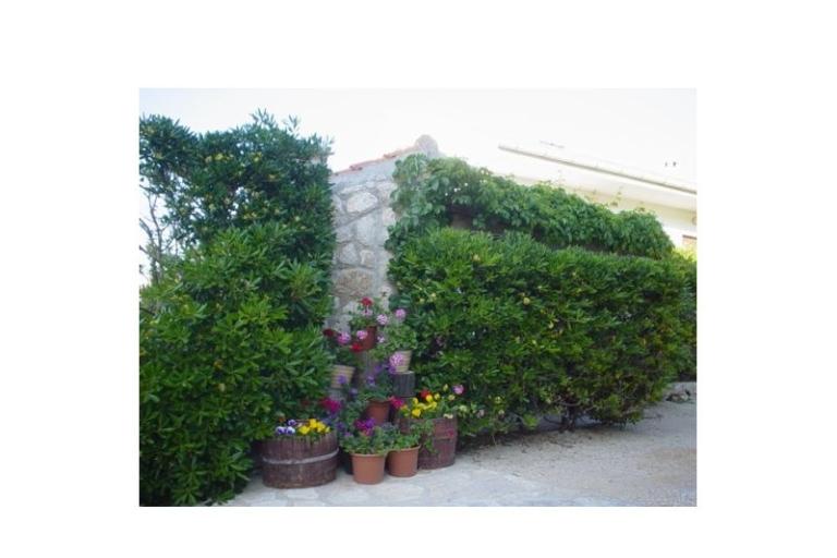 Apartmanok Pag – fotó 10
