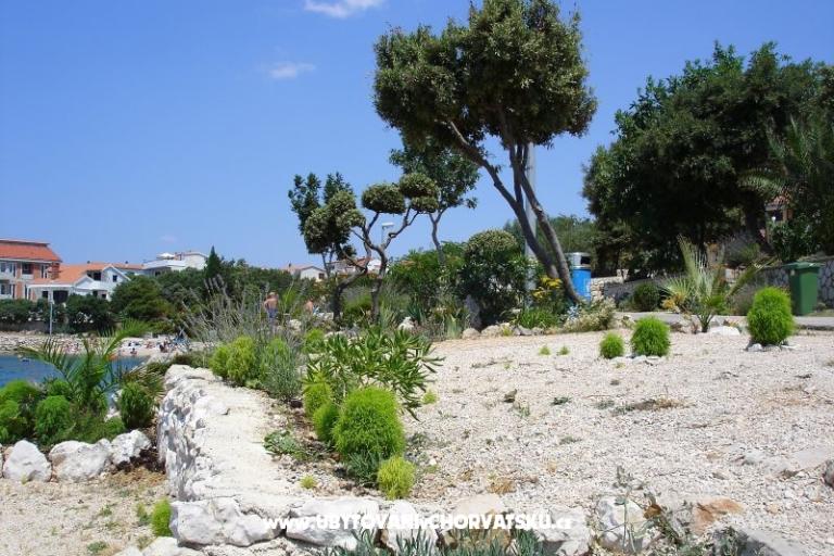 Apartmanok Salvia island Pag Mandre – fotó 12