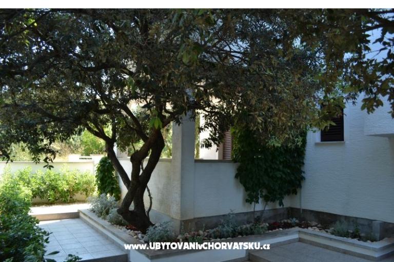 Apartmanok Salvia island Pag Mandre – fotó 13