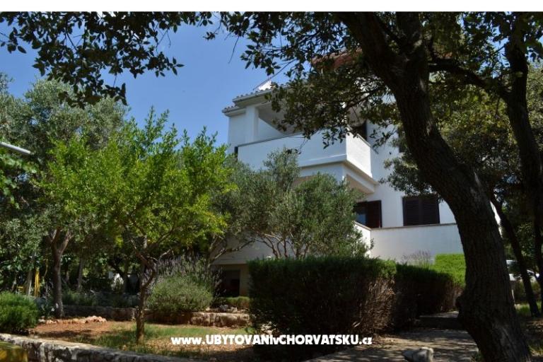 Apartmanok Salvia island Pag Mandre – fotó 14