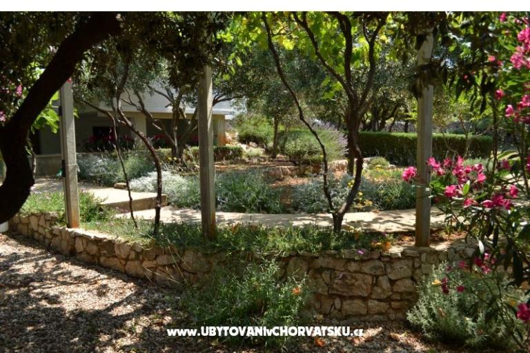 Apartmanok Salvia island Pag Mandre – fotó 15