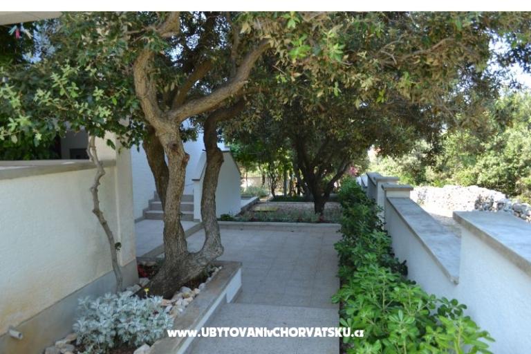 Apartmanok Salvia island Pag Mandre – fotó 17