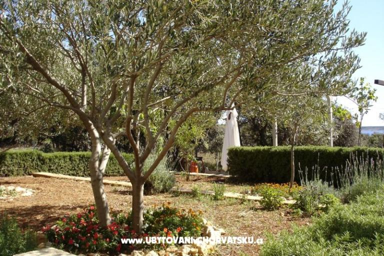 Apartmanok Salvia island Pag Mandre – fotó 18