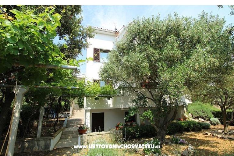 Apartmanok Salvia island Pag Mandre – fotó 4