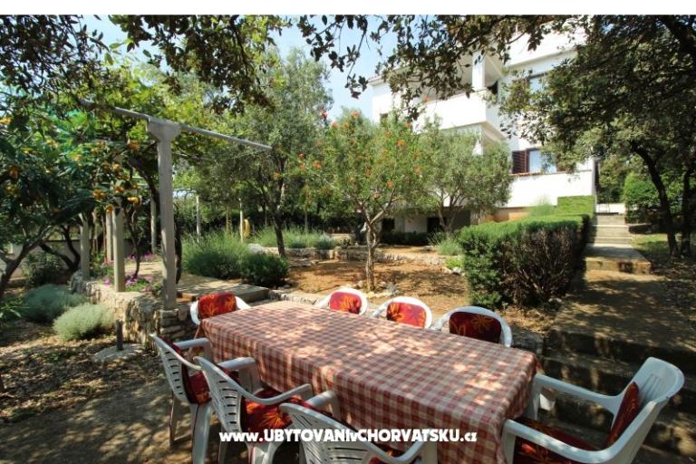 Apartmanok Salvia island Pag Mandre – fotó 6