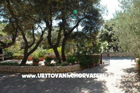 Apartmanok Josipa – fotó 4